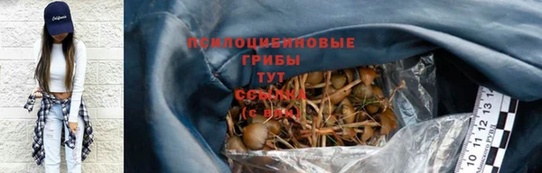 стафф Алексеевка
