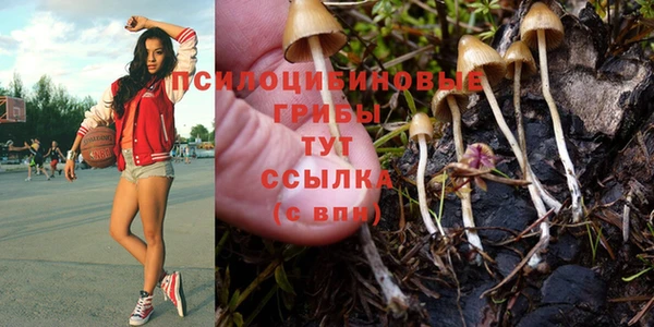 стафф Алексеевка