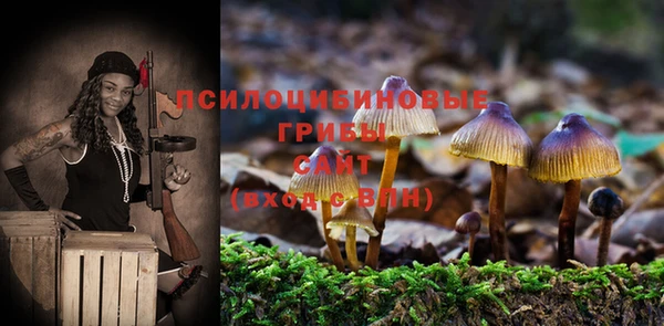 стафф Алексеевка